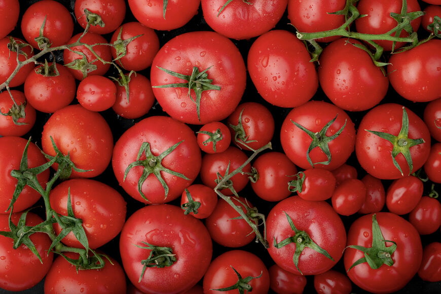 MicroRNA Crop Yield Optimization Using Natural Plant Biological Mechanisms
