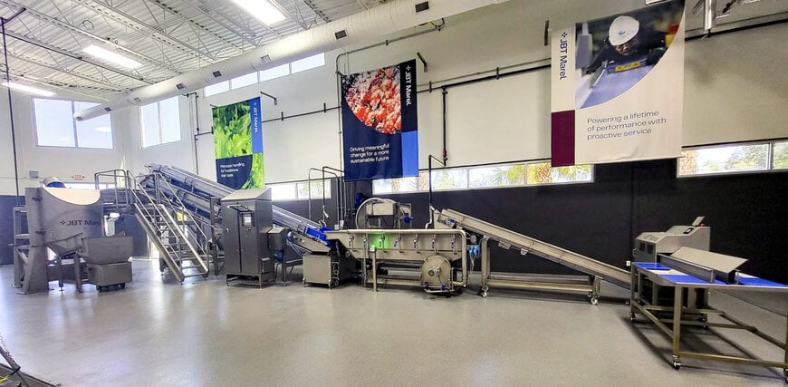 Continuous Salad & Vegetable Processing Line for Industrial Washing