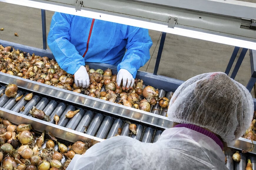 ERP e Inteligência Artificial na Indústria de Alimentos