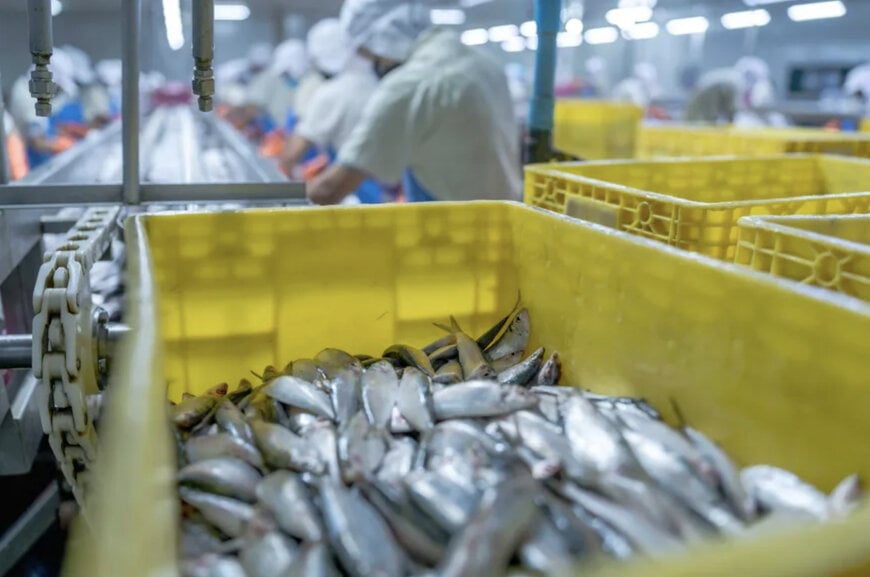 Automatic Catch Weighing Systems for Norwegian Seafood Traceability Compliance