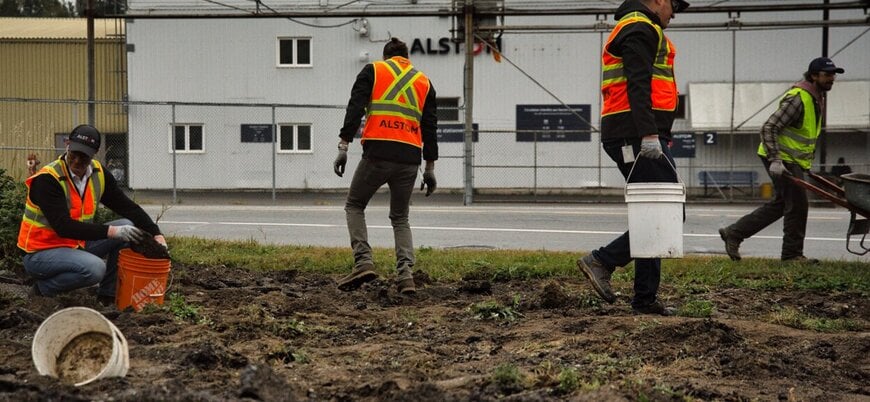 Sous les pavés: Alstom employees take action to green the La Pocatière site