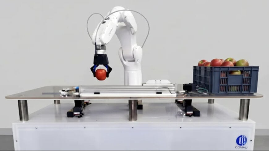 End To End Food Industry Automation And Robotics